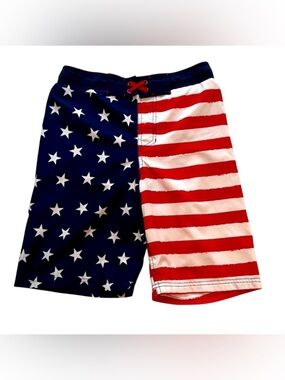 Boys Cat & Jack American Flag Swimsuit